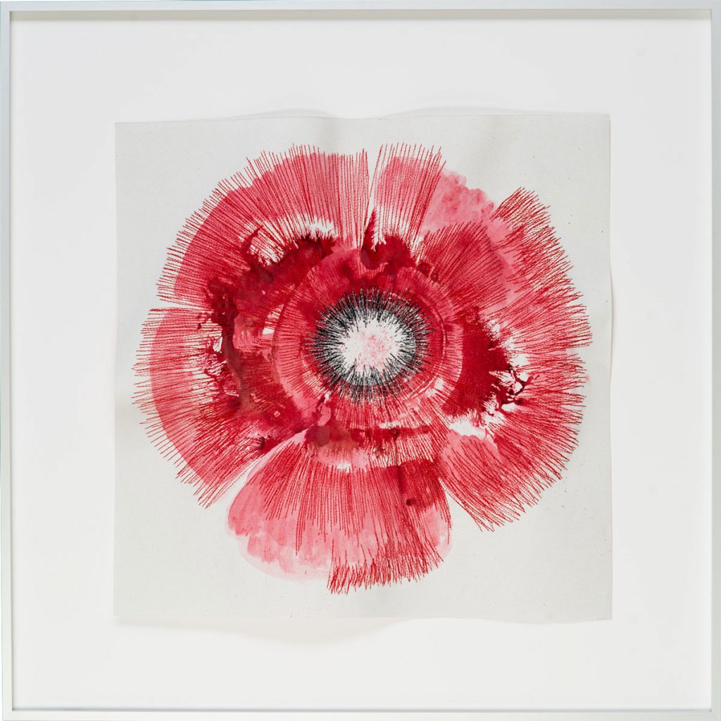 Motiv Mohn aus Serie Papier & Faden von Michaela Schwarzmann